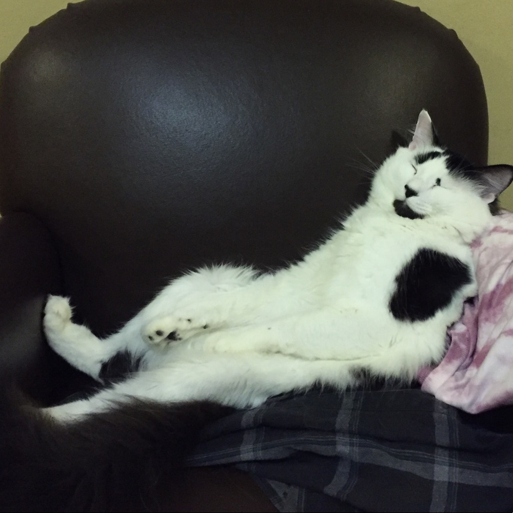 Meet your Posher, Kim